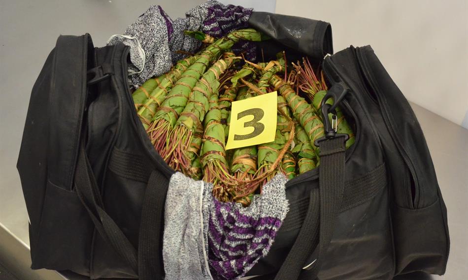 2014-10-20-90foto khat 6.jpg